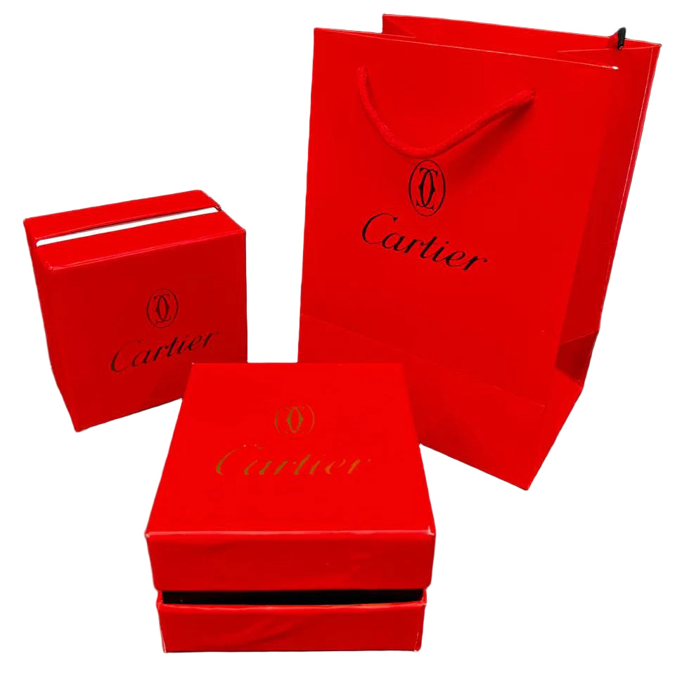 Santos de Cartier silver frame white dial